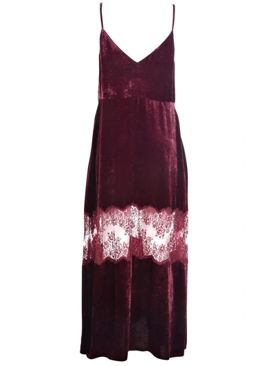 Shop Stella Mccartney Lace Panel Slip Dress In Burgundy