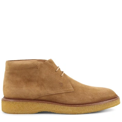 Shop Tod's Desert Boots In Suede In Brown