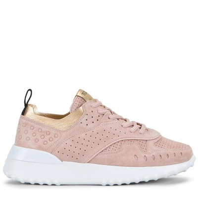 Shop Tod's Sneakers In Suede In Gold,pink