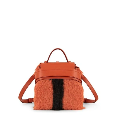 Shop Tod's Wave Backpack Micro In Orange
