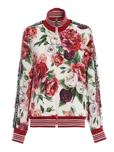 Shop Dolce & Gabbana Floral Sweatshirt In Harpeonie Fdo Panna