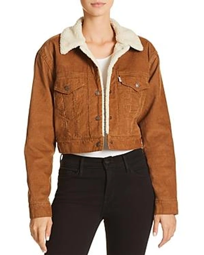 Shop Levi's Corduroy Cropped Trucker Jacket - 100% Exclusive In Vintage Spanish Tobacco