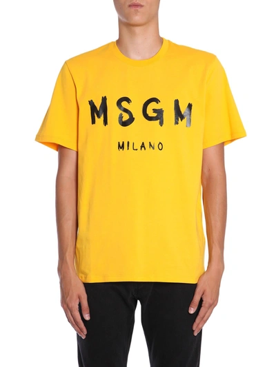 Shop Msgm T-shirt With Logo Print In Giallo