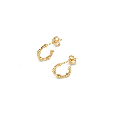 Shop Dinny Hall Gold Micro Bamboo Hoops