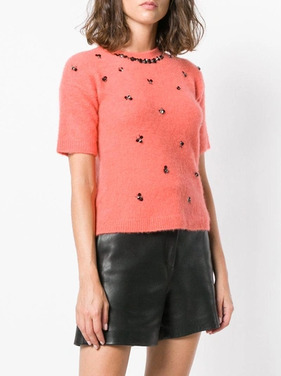 Shop Pinko Embellished Shortsleeved Jumper In Pink