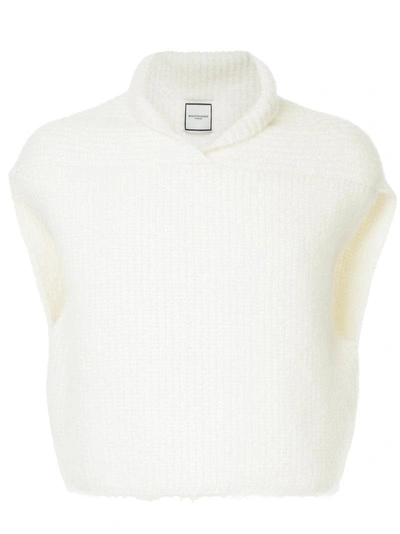 Shop Wooyoungmi Cropped Sleeveless Jumper
