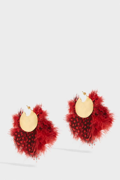 Katerina Makriyianni Gold-tone Feather Earrings In Red