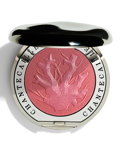 Shop Chantecaille Cheek Shade In Laughter