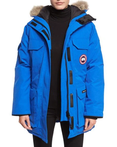 Shop Canada Goose Pbi Expedition Hooded Parka In Royal Blue