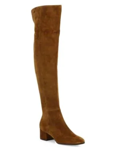 Shop Gianvito Rossi Texa Over-the-knee Suede Boots In Texas