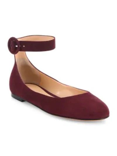 Shop Gianvito Rossi Virna Suede Ankle-strap Ballet Flats In Royale