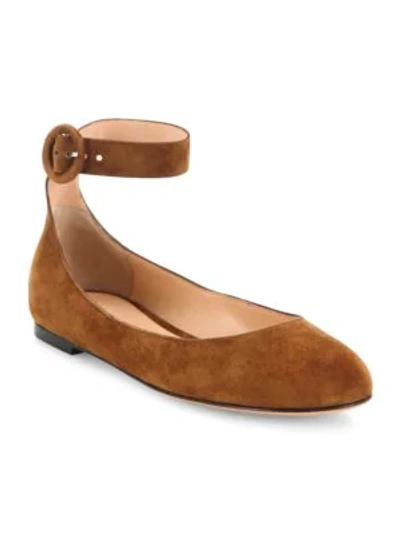 Shop Gianvito Rossi Virna Ankle-strap Suede Ballet Flats In Texas