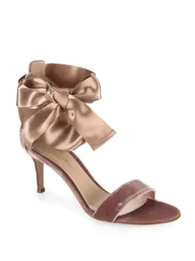 Shop Gianvito Rossi Velvet Satin Bow Sandals In Rosie