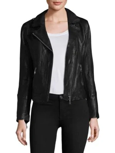 Shop Doma Classic Leather Moto Jacket In Black