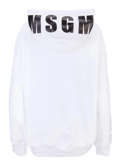 Shop Msgm Sweatshirt