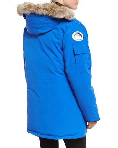 Shop Canada Goose Pbi Expedition Hooded Parka In Royal Blue