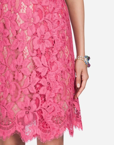 Shop Dolce & Gabbana Lace Skirt In Pink