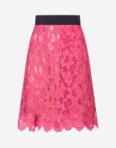 Shop Dolce & Gabbana Lace Skirt In Pink