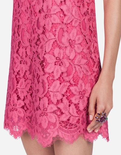 Shop Dolce & Gabbana Lace Dress In Pink