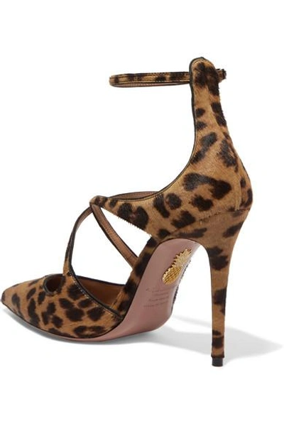 Shop Aquazzura Viviana Leopard-print Calf Hair And Leather Pumps In Leopard Print