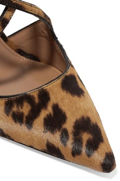Shop Aquazzura Viviana Leopard-print Calf Hair And Leather Pumps In Leopard Print