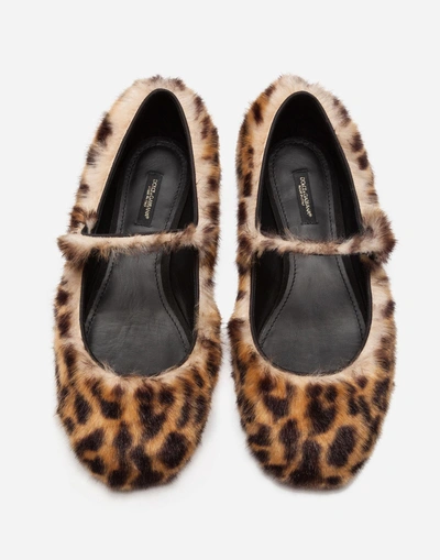 Shop Dolce & Gabbana Ballet Flats In Leopard Faux Fur With Jewel Button In Leopard Print