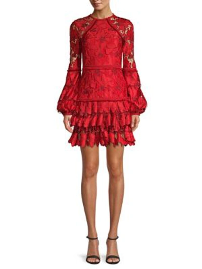 Alexis fransisca top lace dress