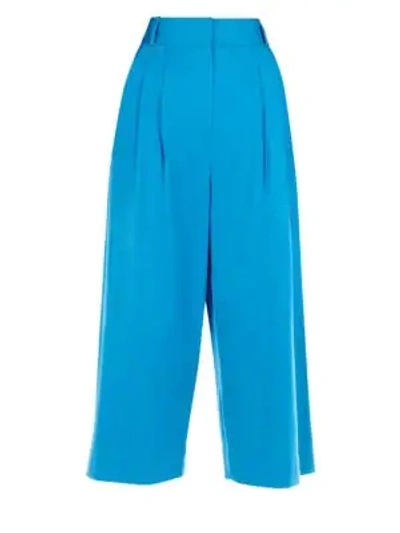 Shop Tibi Bianca Stretch Cotton Culottes In Blue