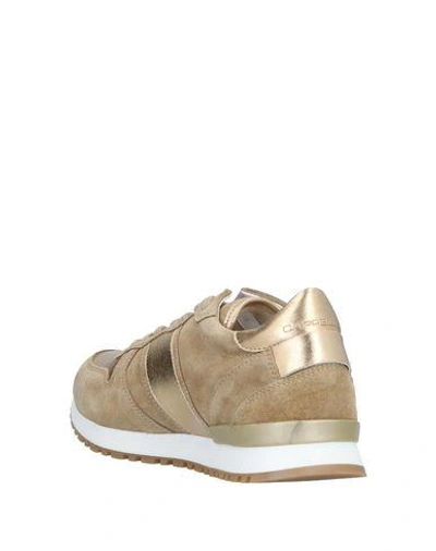 Shop Cappelletti Sneakers In Sand
