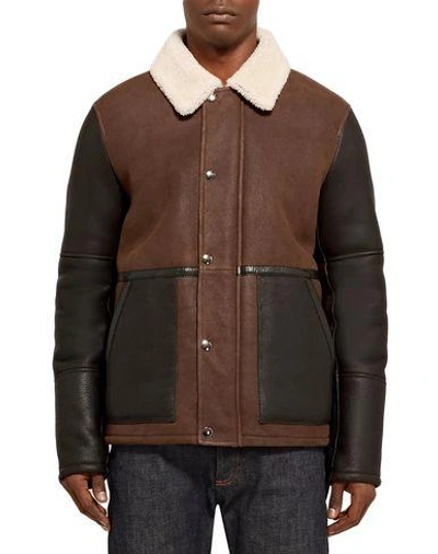 Shop Theory Jackets In Cocoa