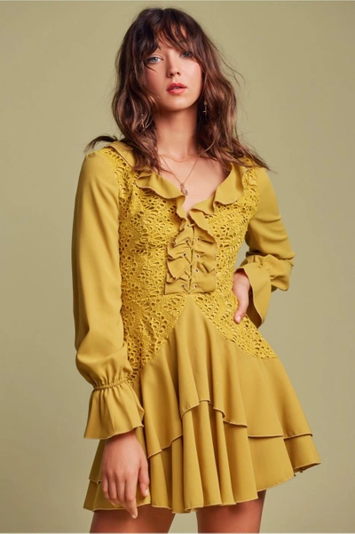 Shop Finders Sunseeker Long Sleeve Dress In Chartreuse