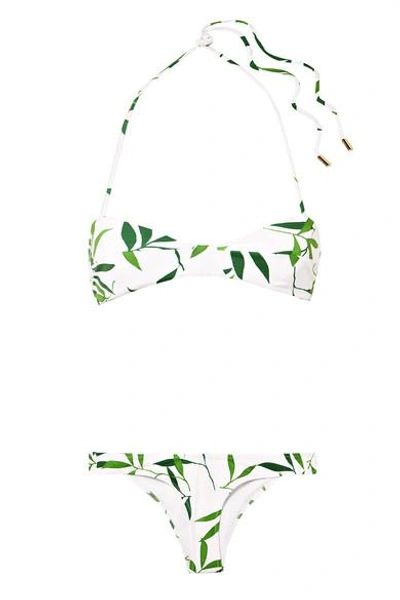 Shop Caroline Constas Kali Printed Halterneck Bikini In White