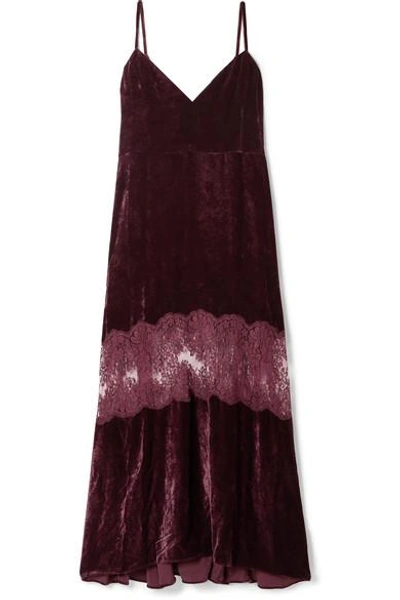 Shop Stella Mccartney Kelsey Lace-paneled Velvet Dress In Merlot