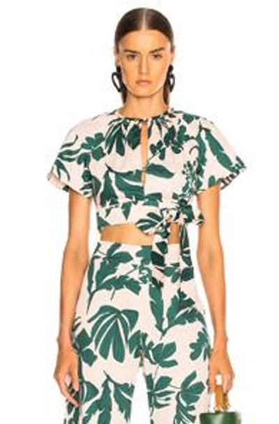 Shop Alexis Lali Top In Pink,green,tropical. In Tropical Blush
