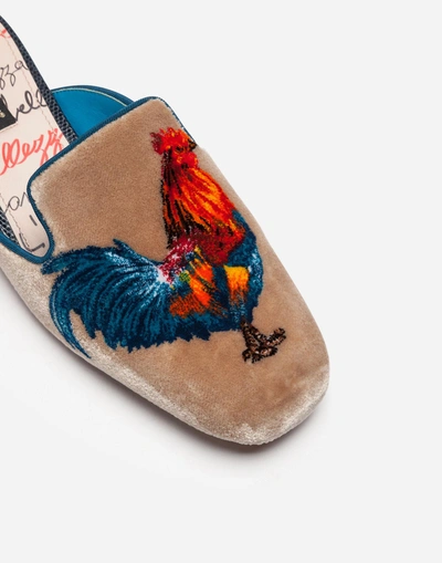 Shop Dolce & Gabbana Velvet Stitch Slippers In Multicolor