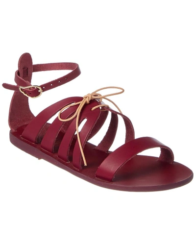 Shop Ancient Greek Sandals Iphigenia Leather Sandal In Pink