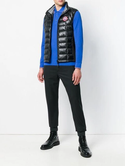 Shop Canada Goose Sleeveless Down Jacket In Black