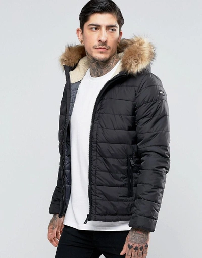 Shop Schott Quilted Padded Hooded Jacket Detachable Faux Fur Trim - Black