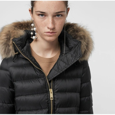 Shop Burberry Detachable Fur Trim Down-filled Puffer Coat With Hood In Black