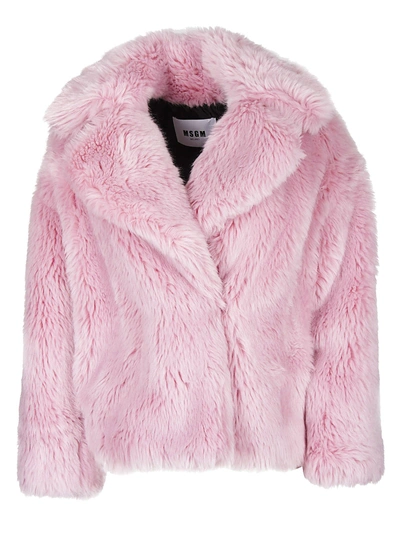 Shop Msgm Cropped Fur Jacket In Rosa
