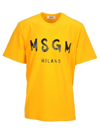 Shop Msgm Tshirt Classic In Giallo