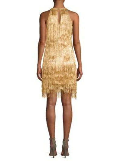 Shop Rachel Zoe Nova Knit Halter Shift Dress In Light Gold