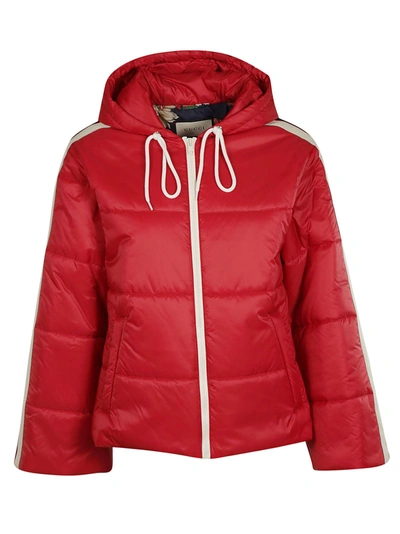 Shop Gucci Side Stripes Padded Jacket In Hibis Red/blue/multi
