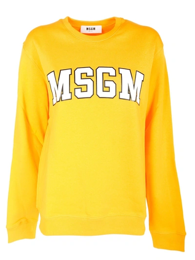 Shop Msgm Logo Front Sweatshirt