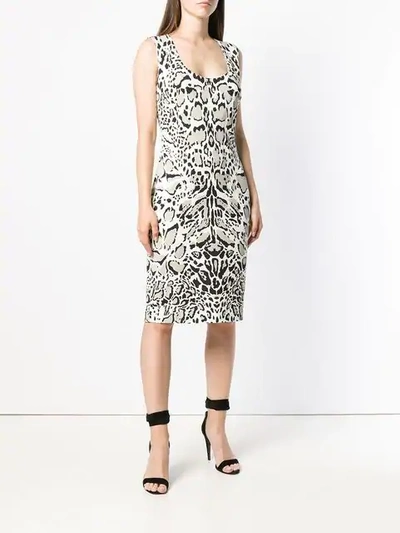 Shop Roberto Cavalli Leopard Print Dress In Neutrals