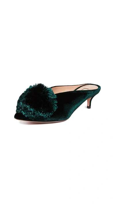 Shop Aquazzura Powder Puff 45 Mules In Monet Green