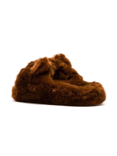 Shop Dolce & Gabbana Teddy Bear Slippers In Brown