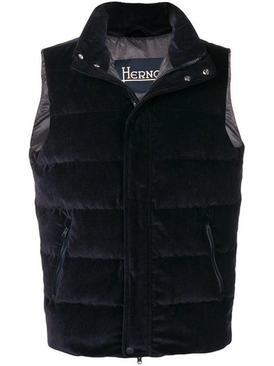 Shop Herno Padded Gilet In Blue