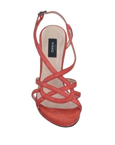 Shop Pinko Sandals In Coral