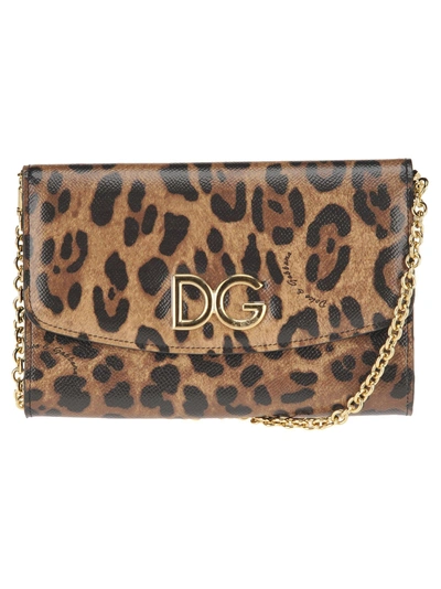 Shop Dolce & Gabbana Wallet On Chain In Leopard